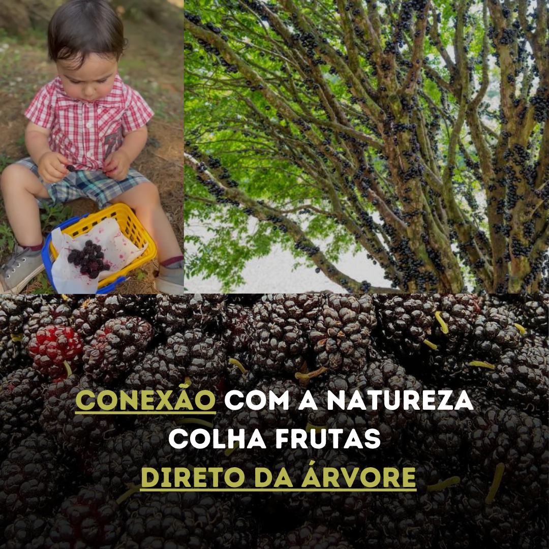Contato com a natureza