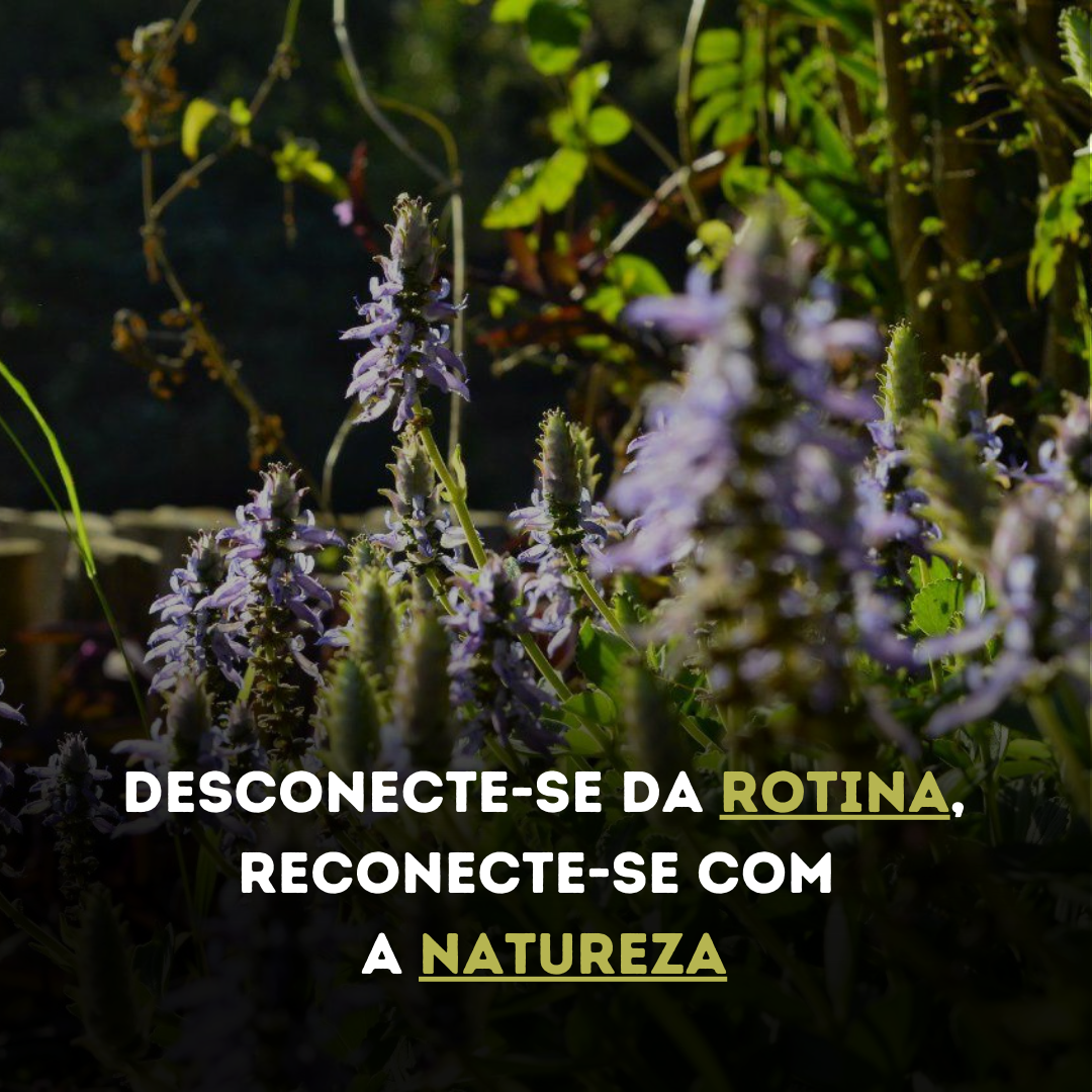 Contato com a natureza